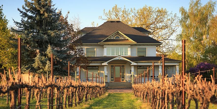 Vineyard outside farm house