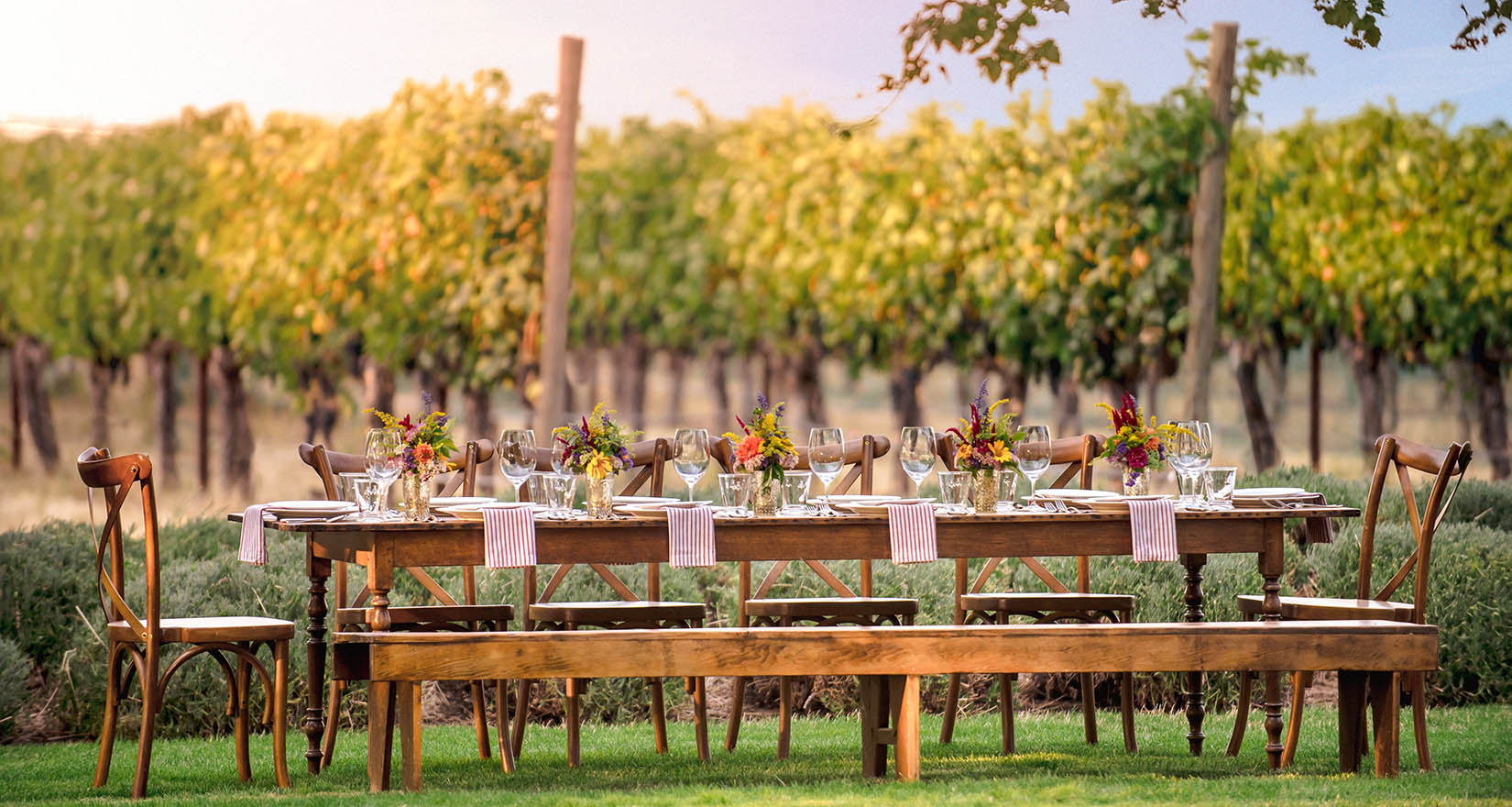 table and vineyard
