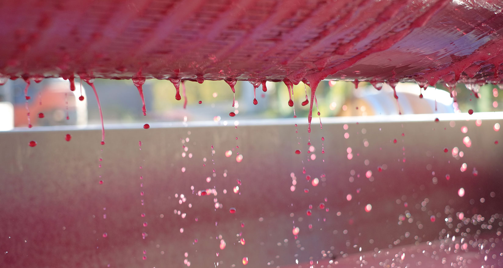 Wine being pressed