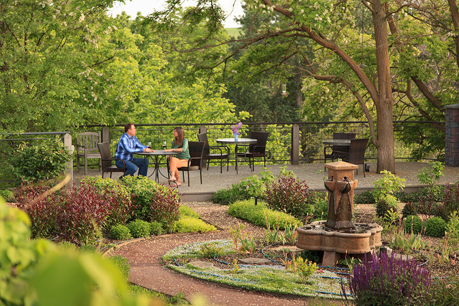 Vineyard garden